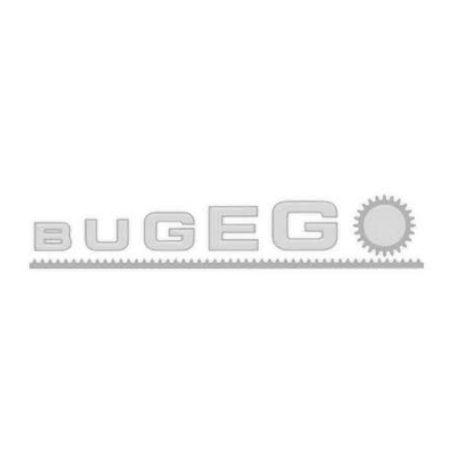 Logo di Bugego