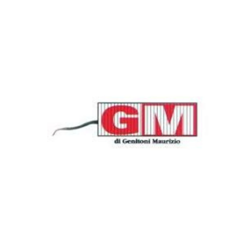 Logo di GM